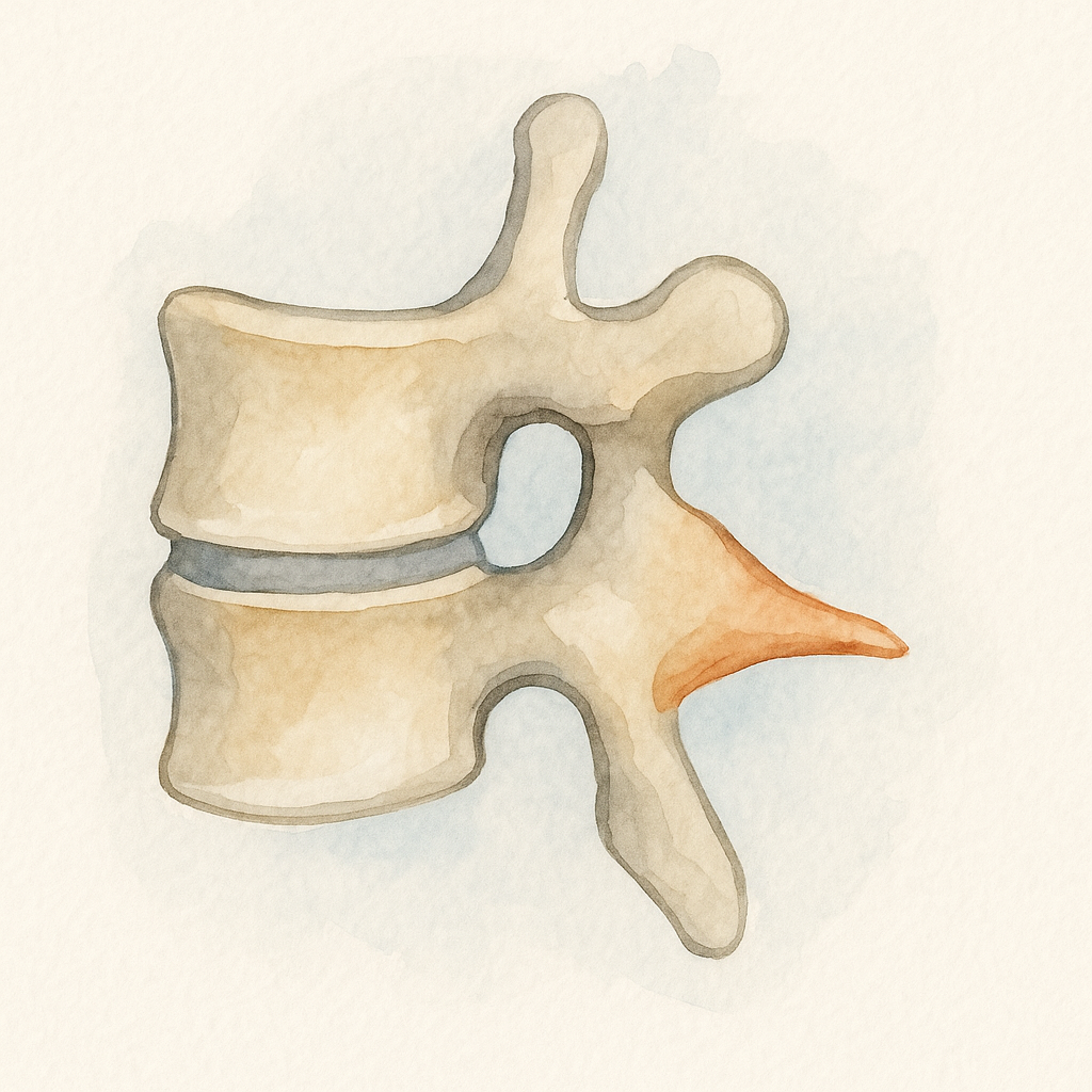 골극(osteophyte) 뜻과 bone spur 차이, MRI 결과에서 발견됐다면 알아둘 것들