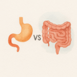맹장염 vs 장염 차이 5가지 체크리스트 | 설사·통증·발열로 구분하기