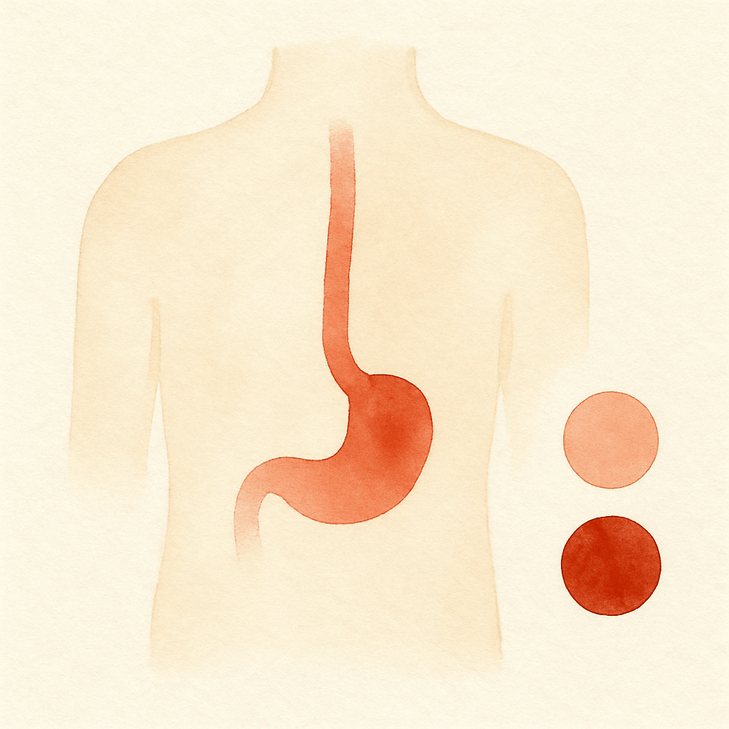 속쓰림-역류성-식도염-증상